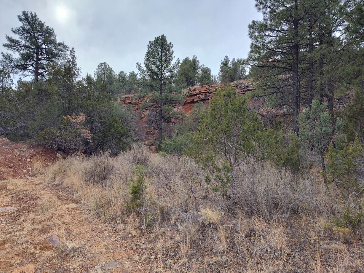 471 Red Bluff Road