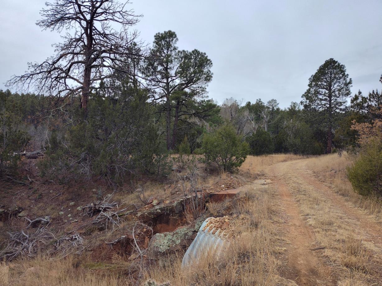 471 Red Bluff Road