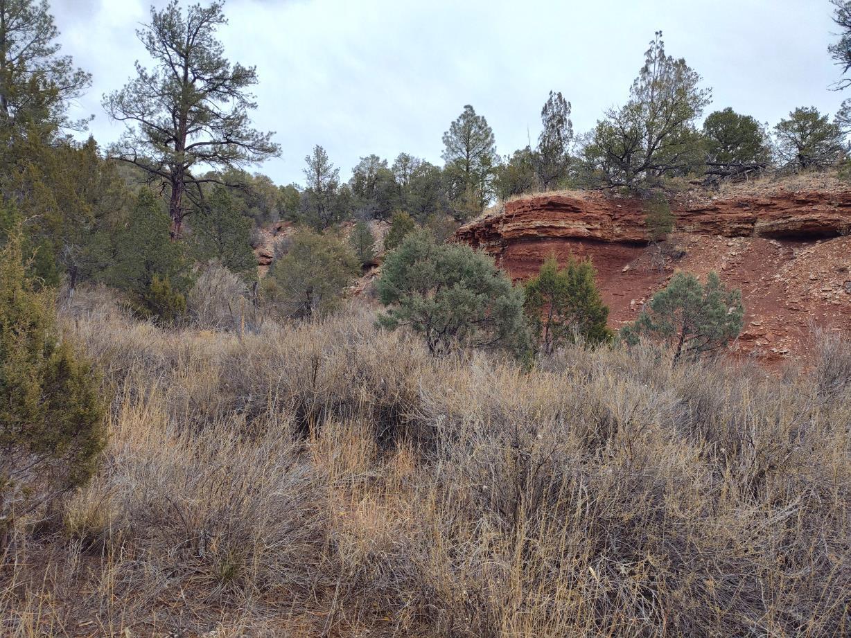 471 Red Bluff Road