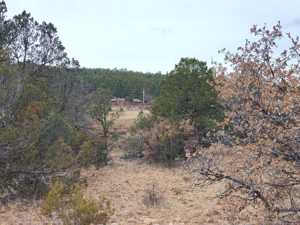 471 Red Bluff Road