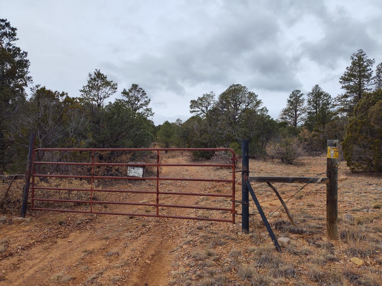 471 Red Bluff Road