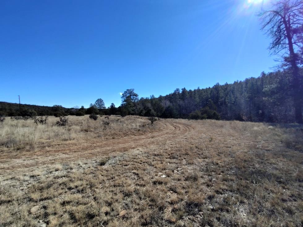 471 Red Bluff Road