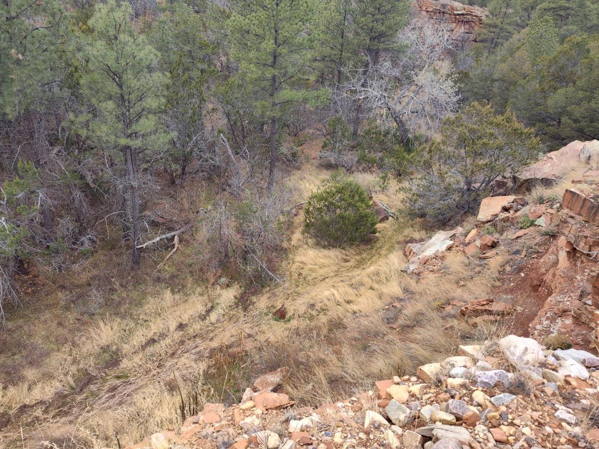 471 Red Bluff Road