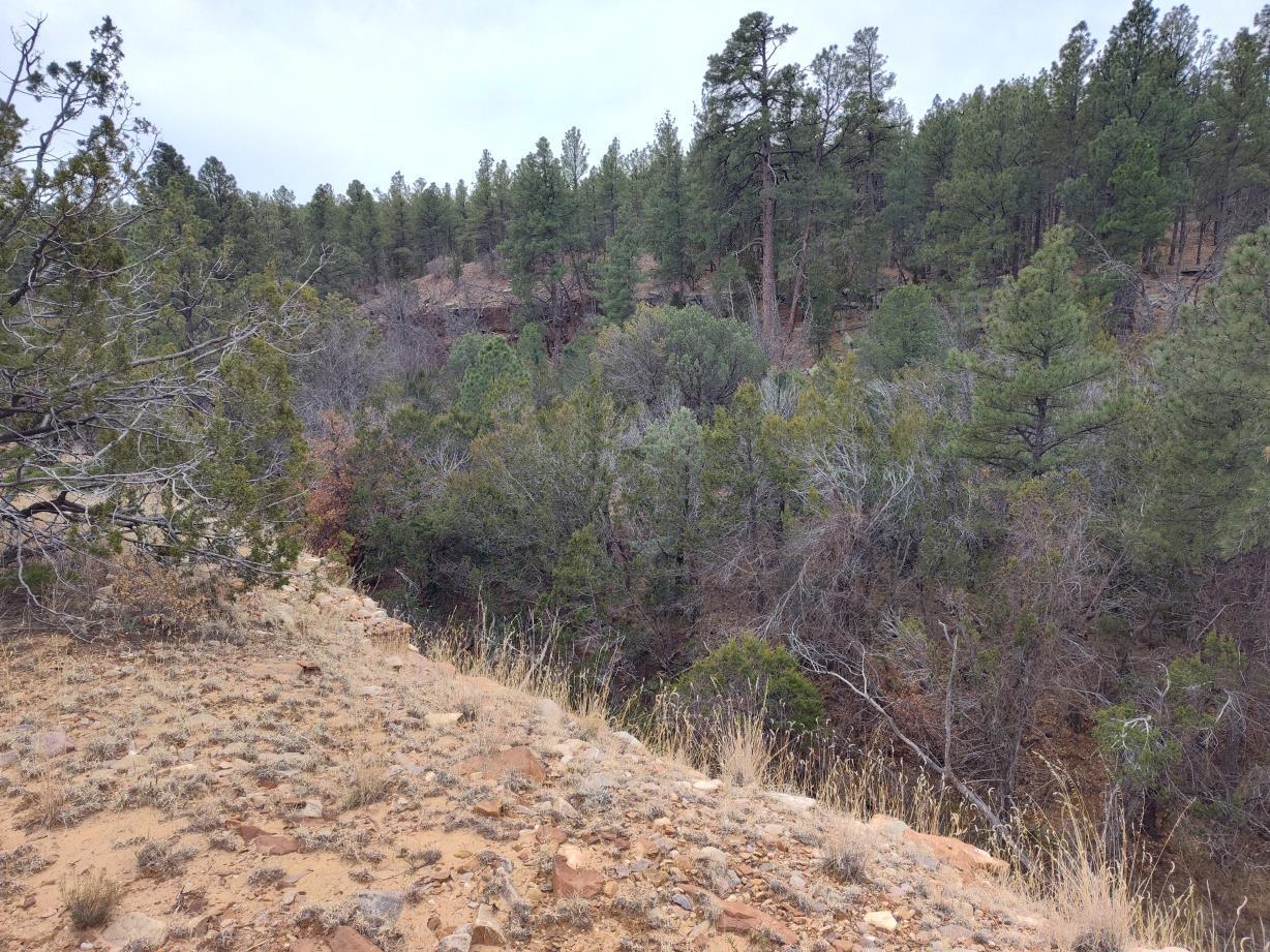 471 Red Bluff Road