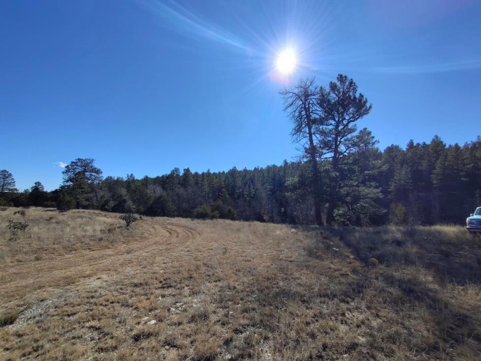 471 Red Bluff Road