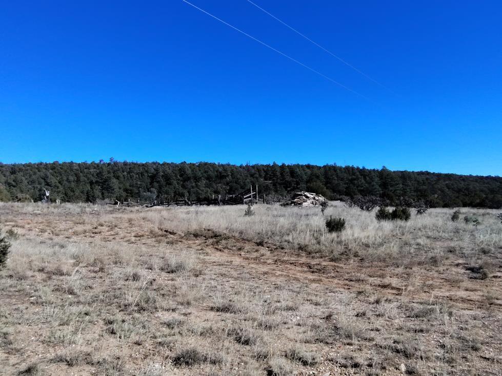 471 Red Bluff Road