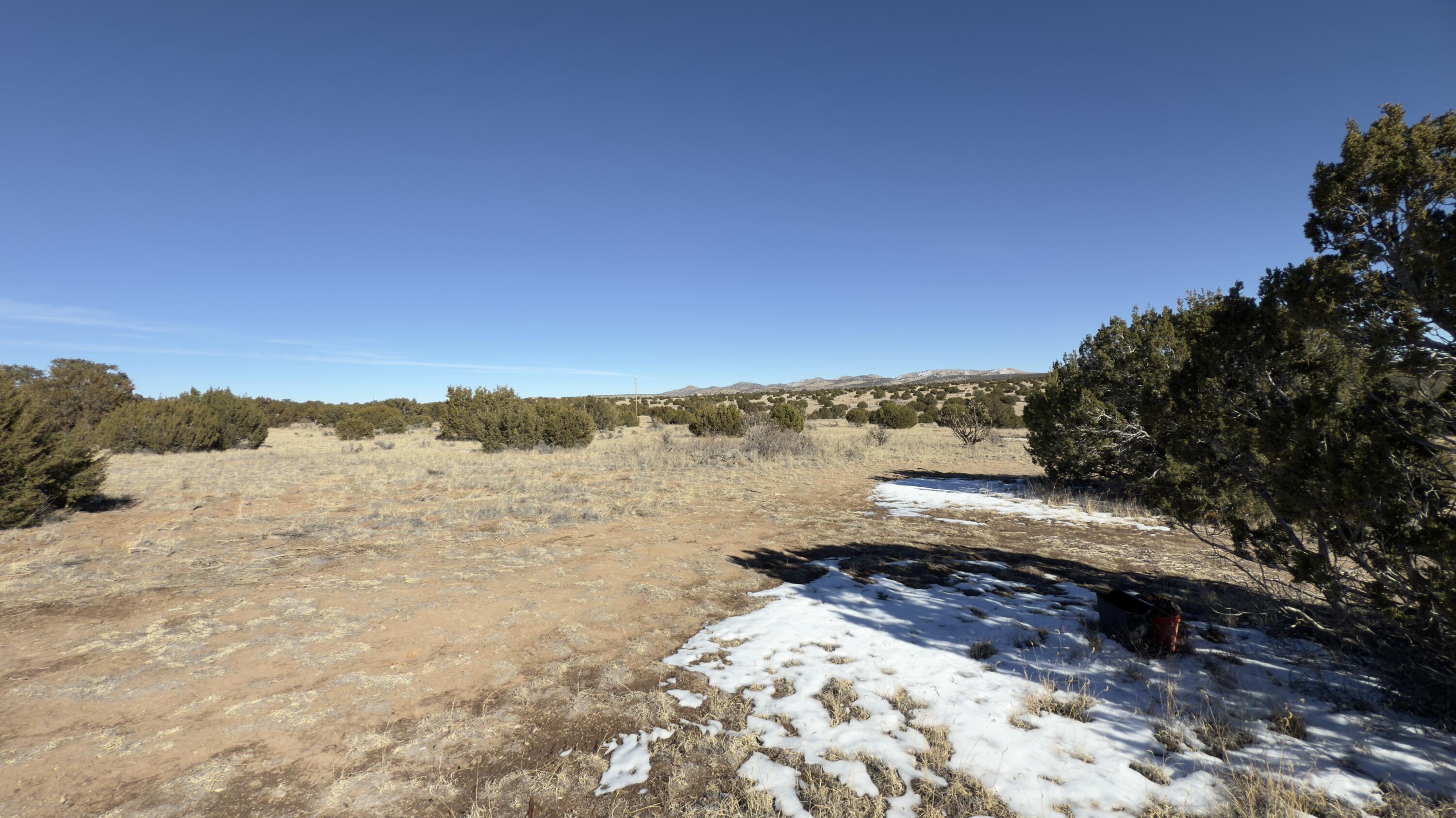 468 Forest Rd. 123