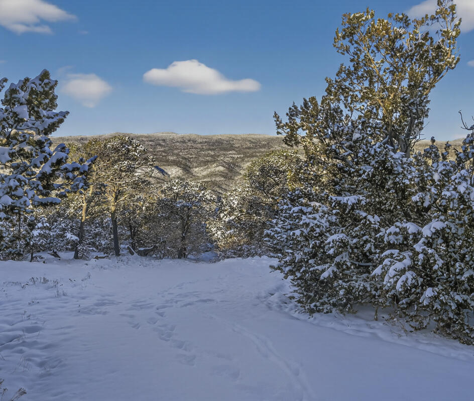 78 Sangre De Cristo Drive