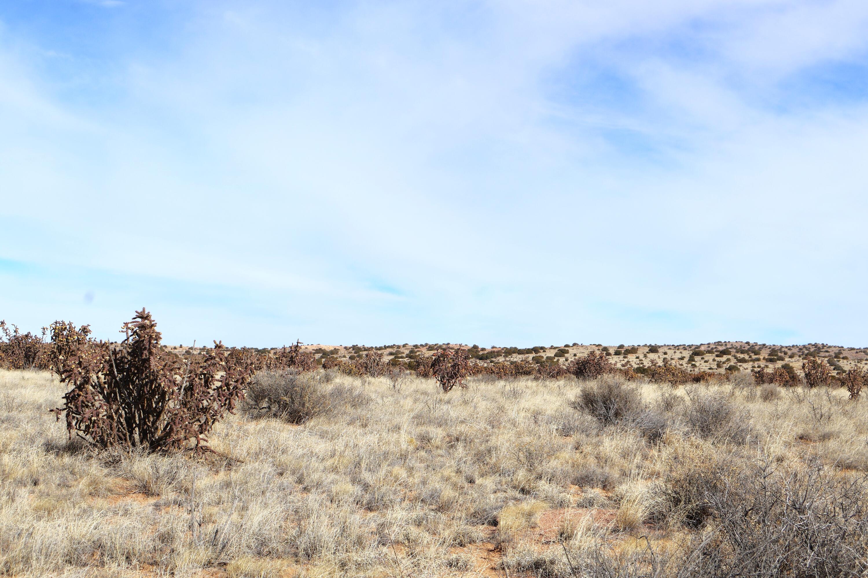 Lot 23, 24, 25 Rio Rancho Estates NE