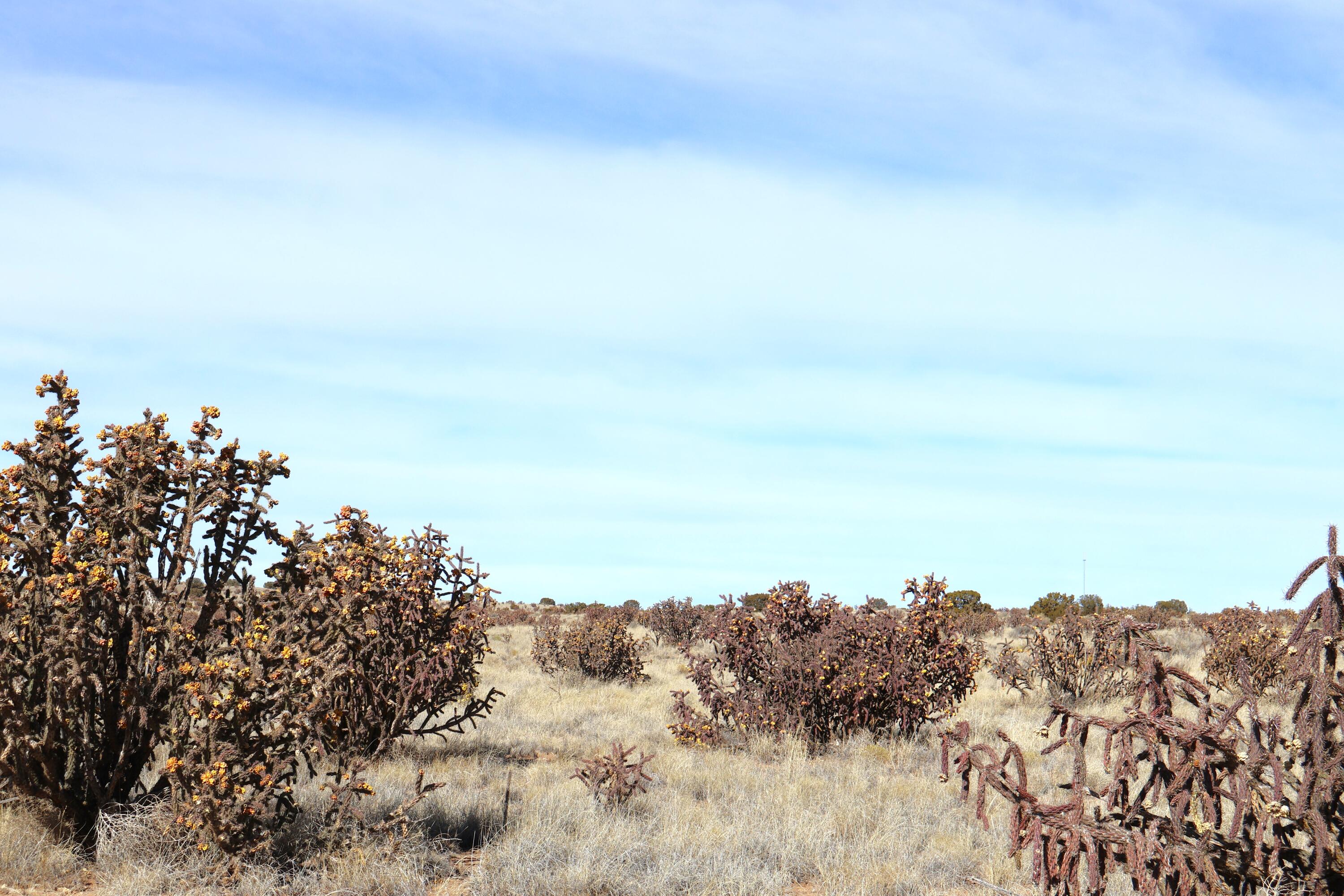 Lot 23, 24, 25 Rio Rancho Estates NE