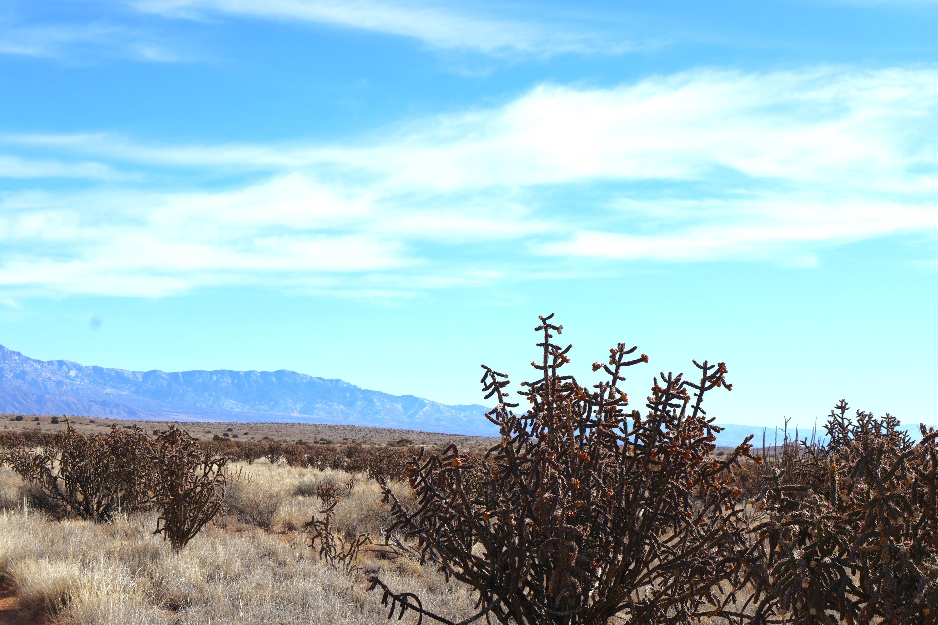 Lot 23, 24, 25 Rio Rancho Estates NE