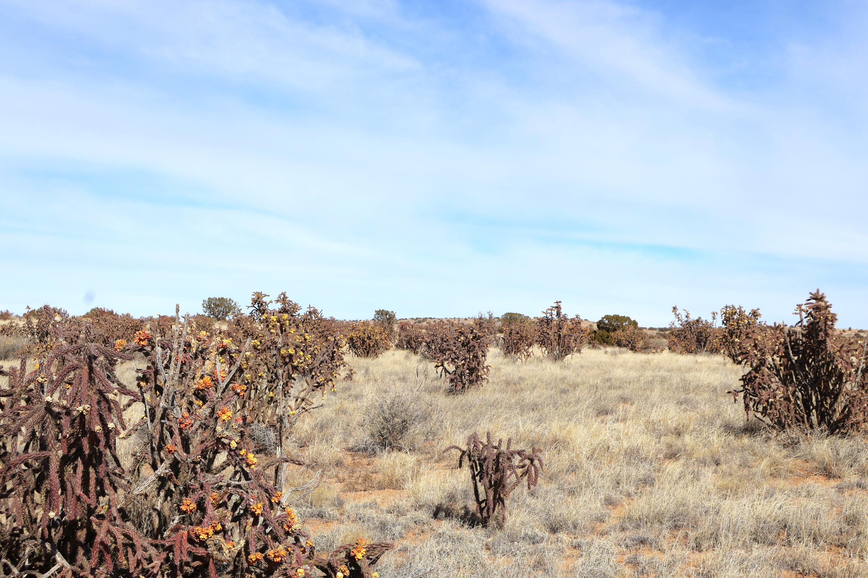 Lot 23, 24, 25 Rio Rancho Estates NE