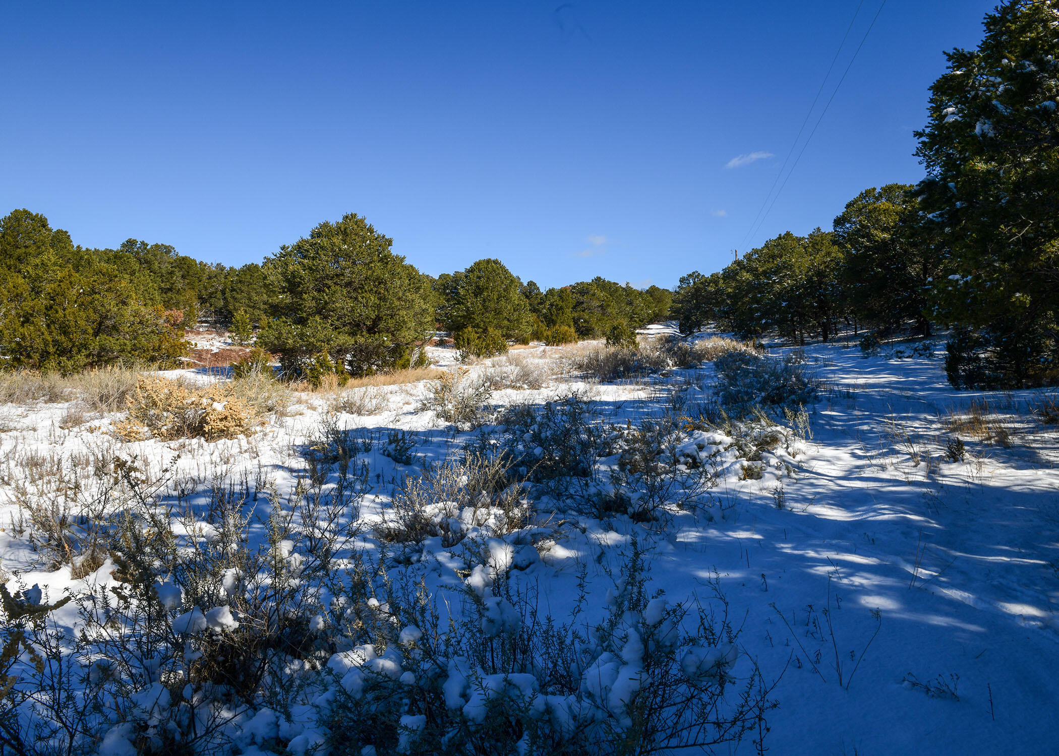 Magic Valley Road