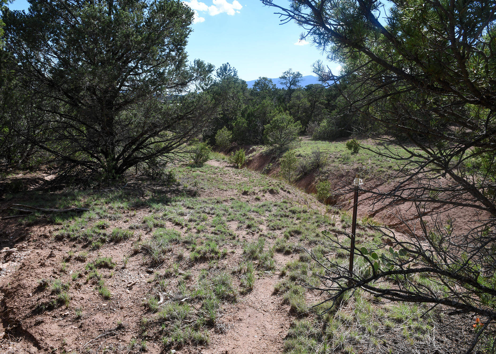 Magic Valley Road