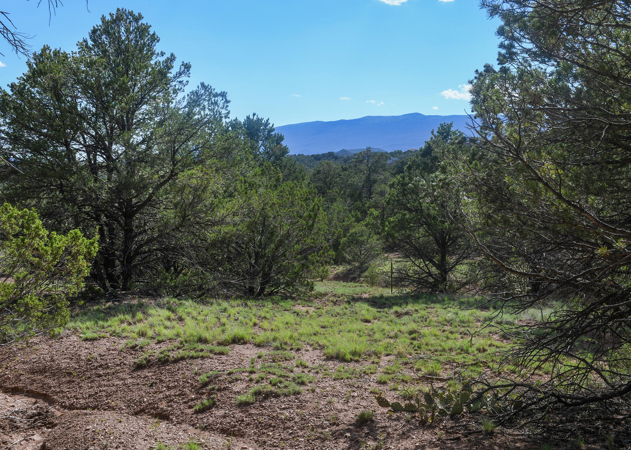 Magic Valley Road