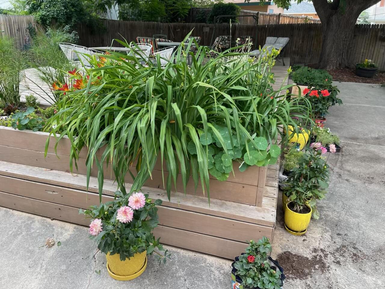 6436 Colleen Avenue NE