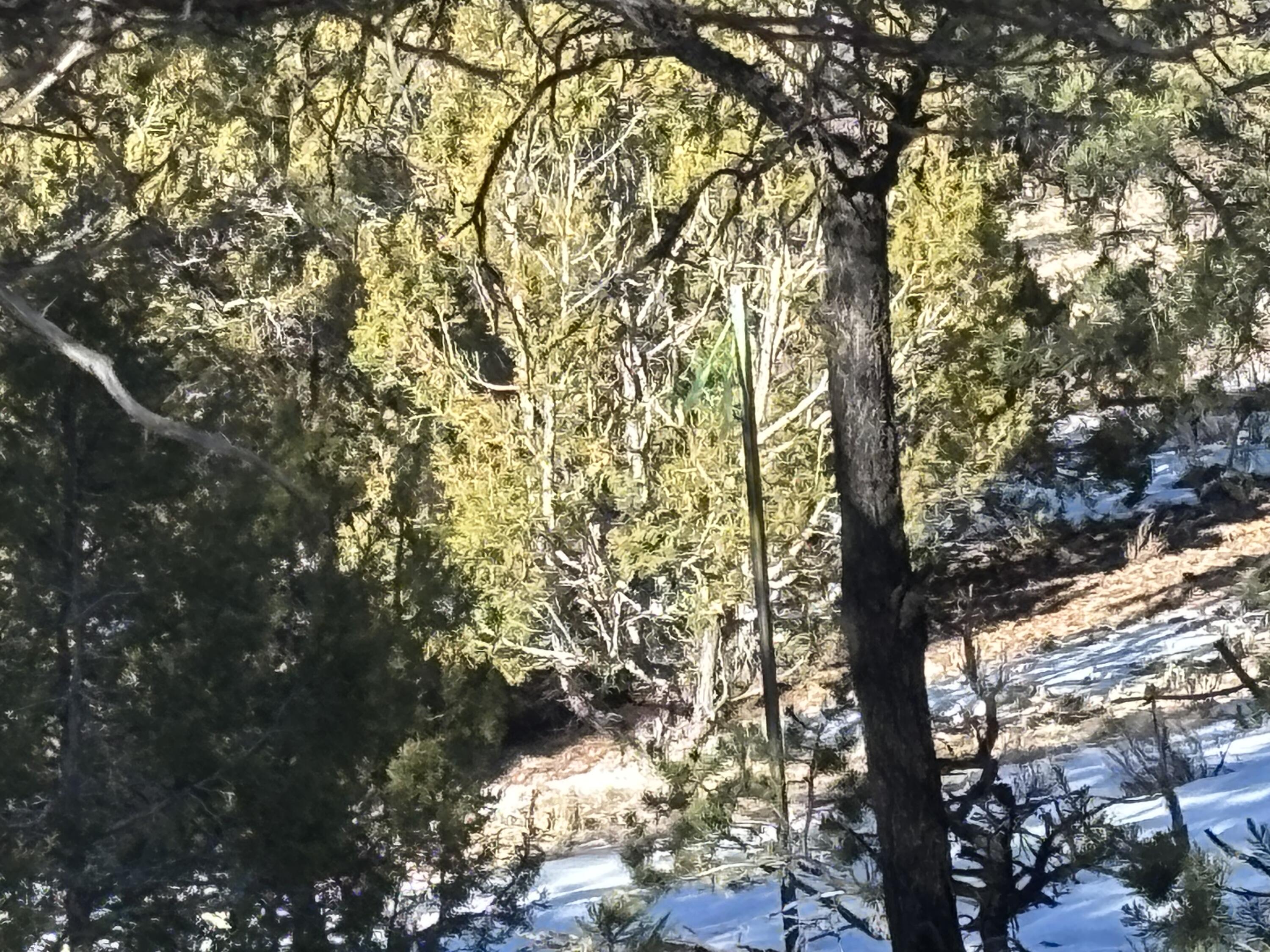 12 Kit Road Lot 2 Unit I Road