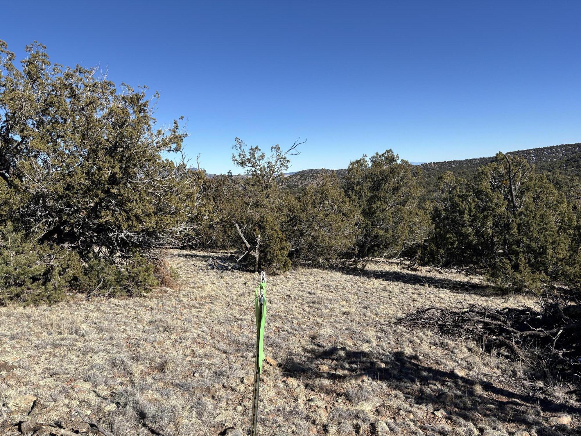 12 Kit Road Lot 2 Unit I Road