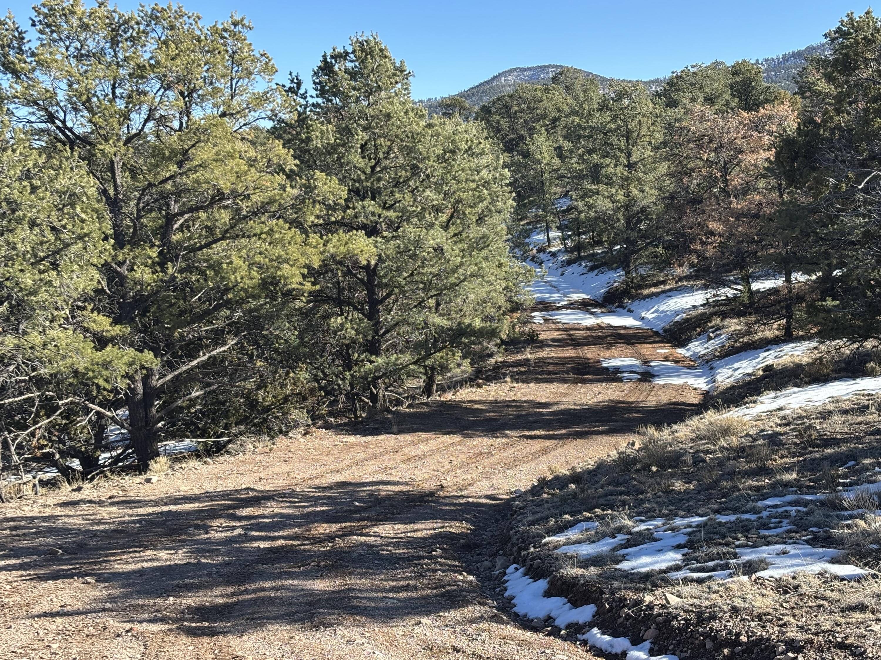 12 Kit Road Lot 2 Unit I Road