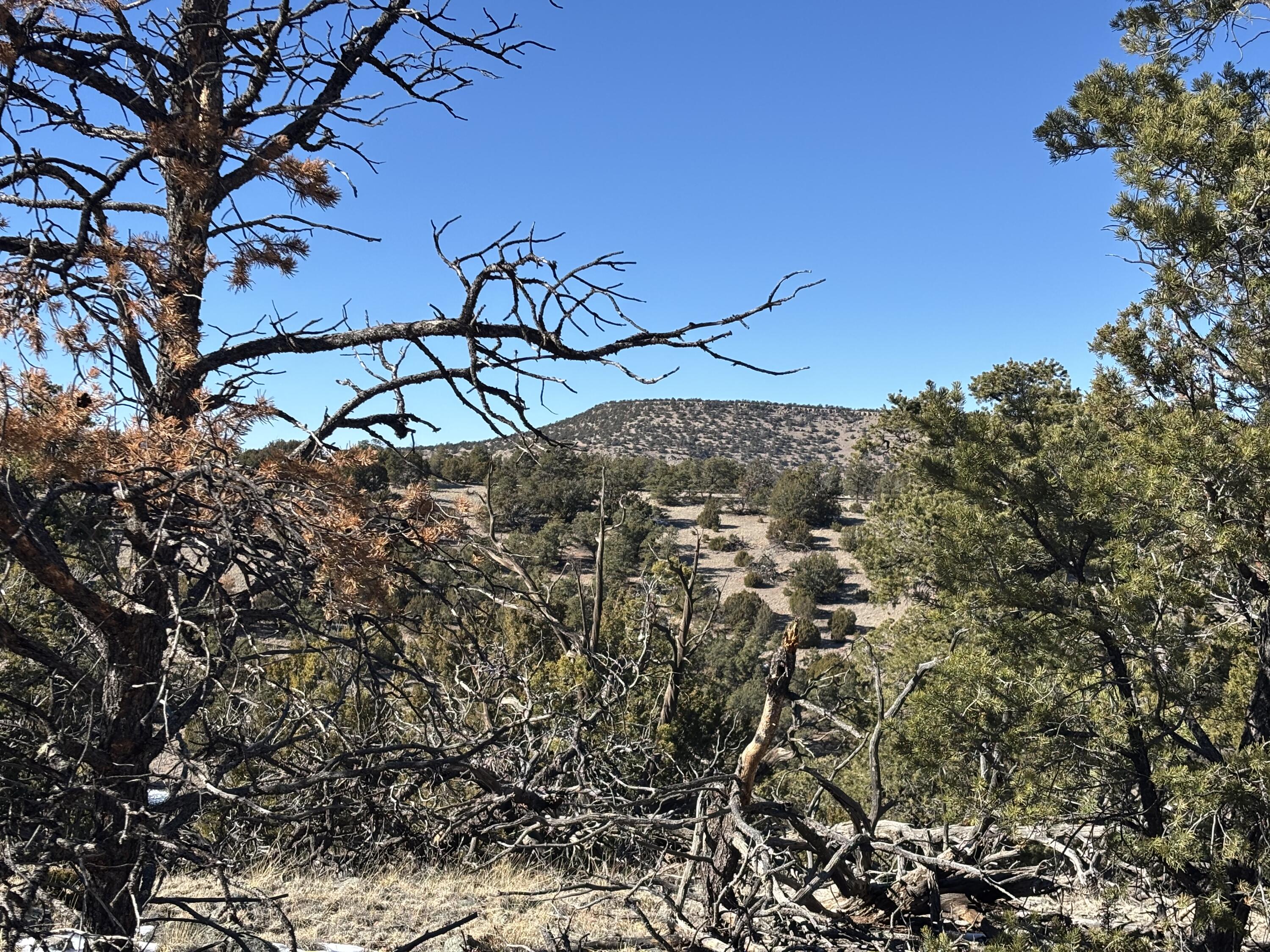 12 Kit Road Lot 2 Unit I Road