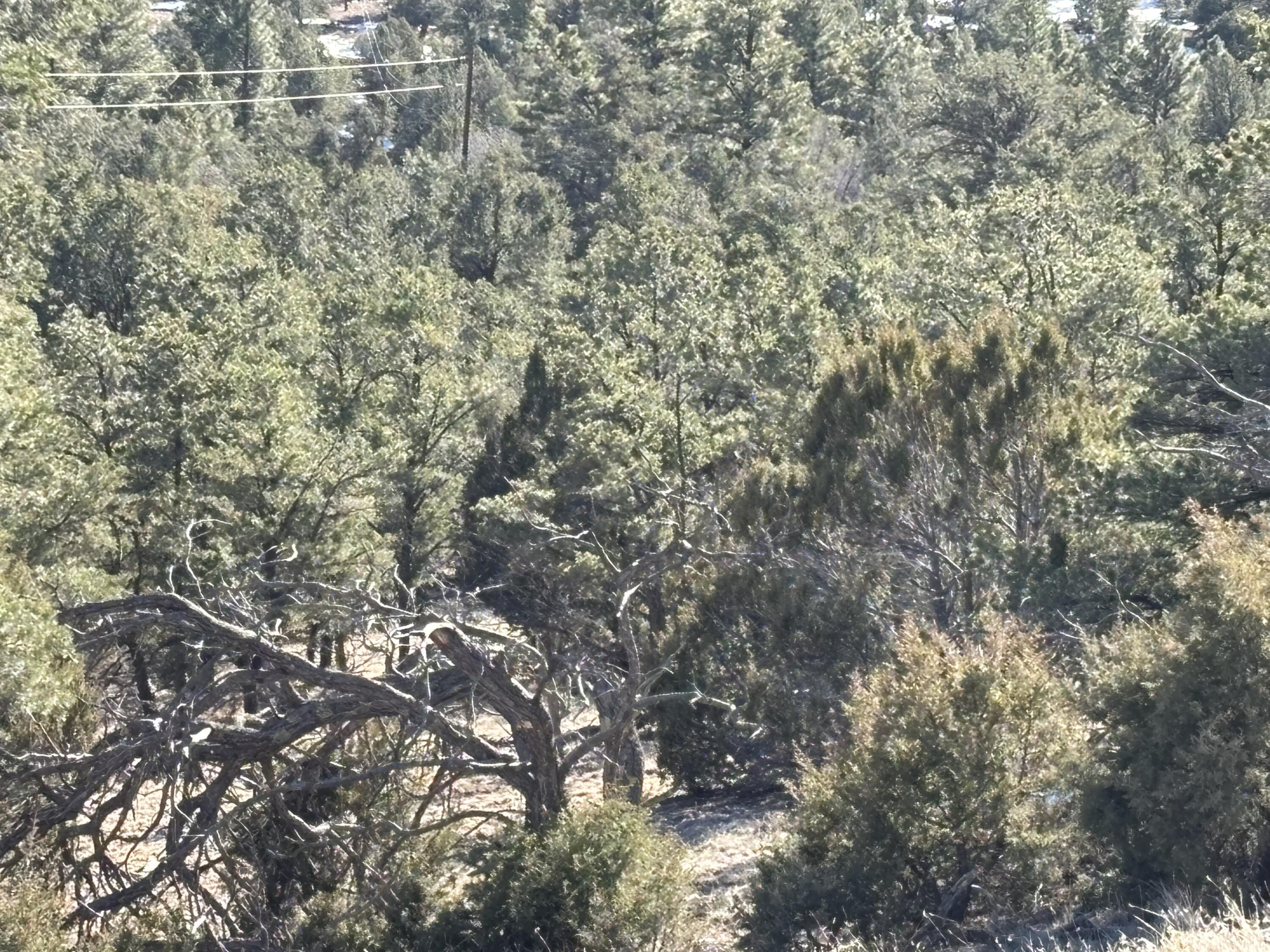 12 Kit Road Lot 2 Unit I Road