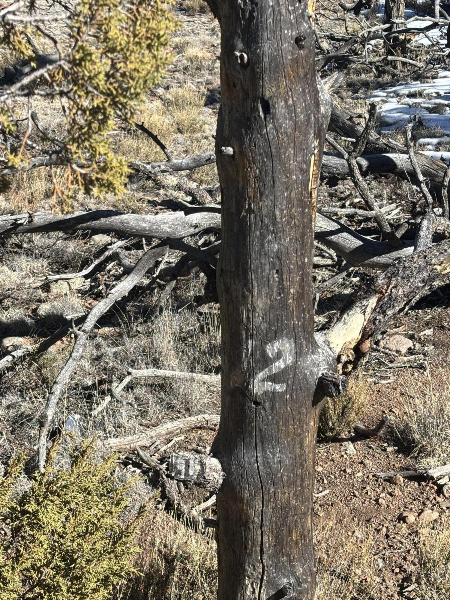 12 Kit Road Lot 2 Unit I Road