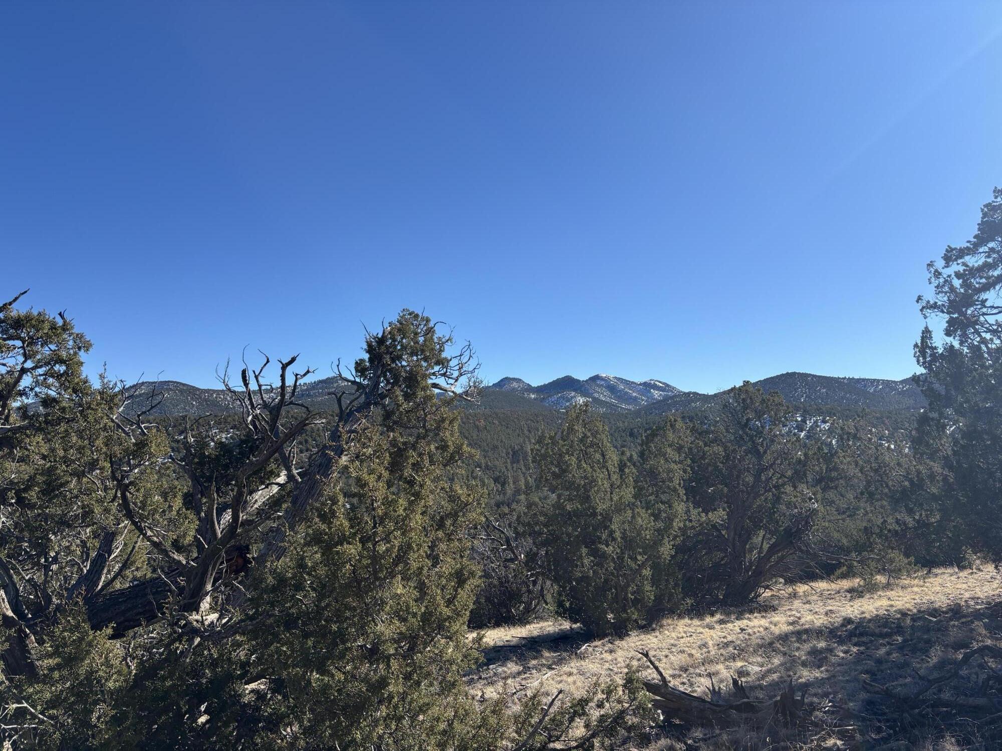 12 Kit Road Lot 2 Unit I Road