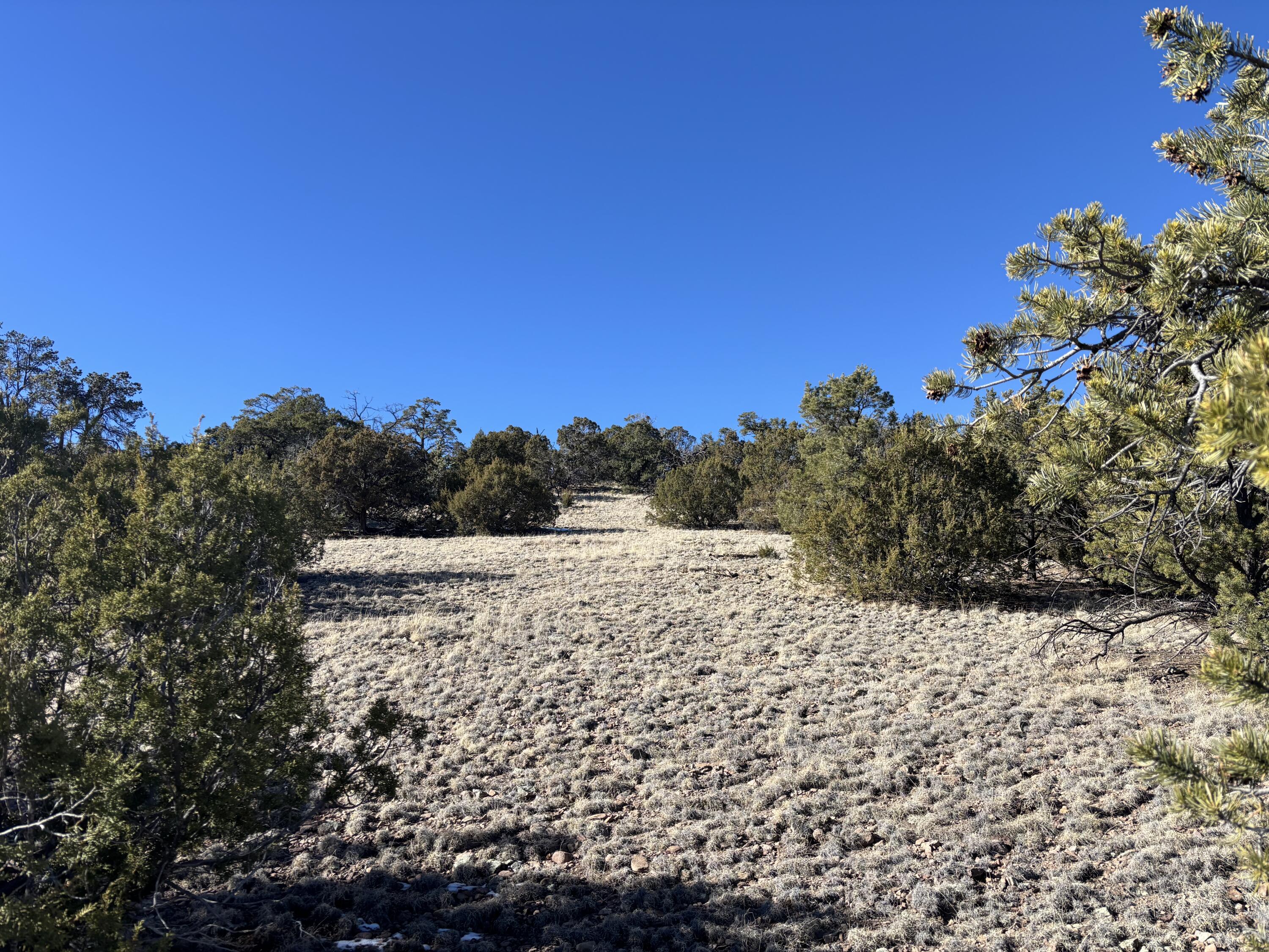 12 Kit Road Lot 2 Unit I Road