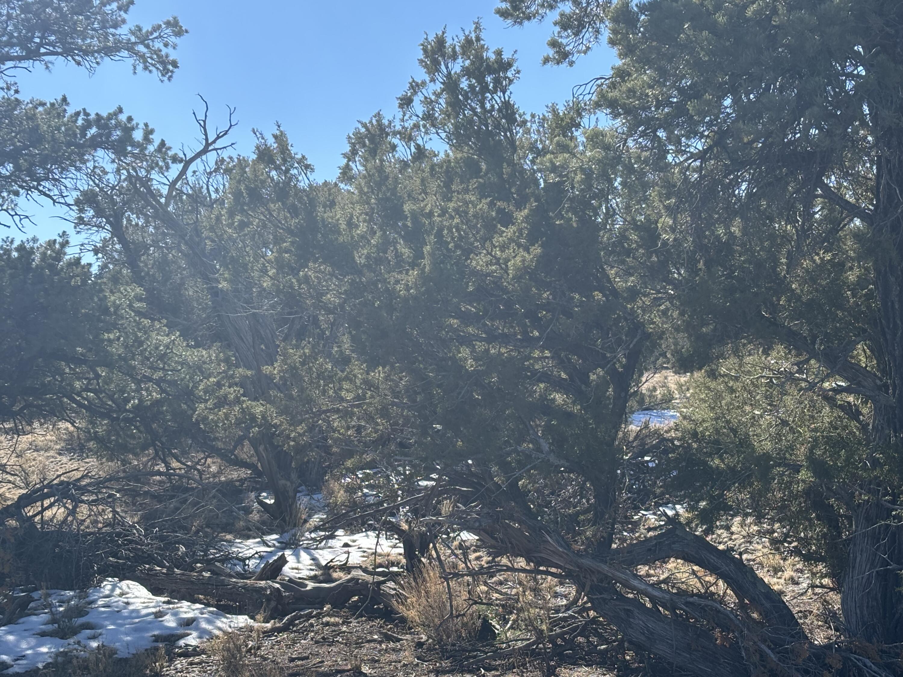 12 Kit Road Lot 2 Unit I Road