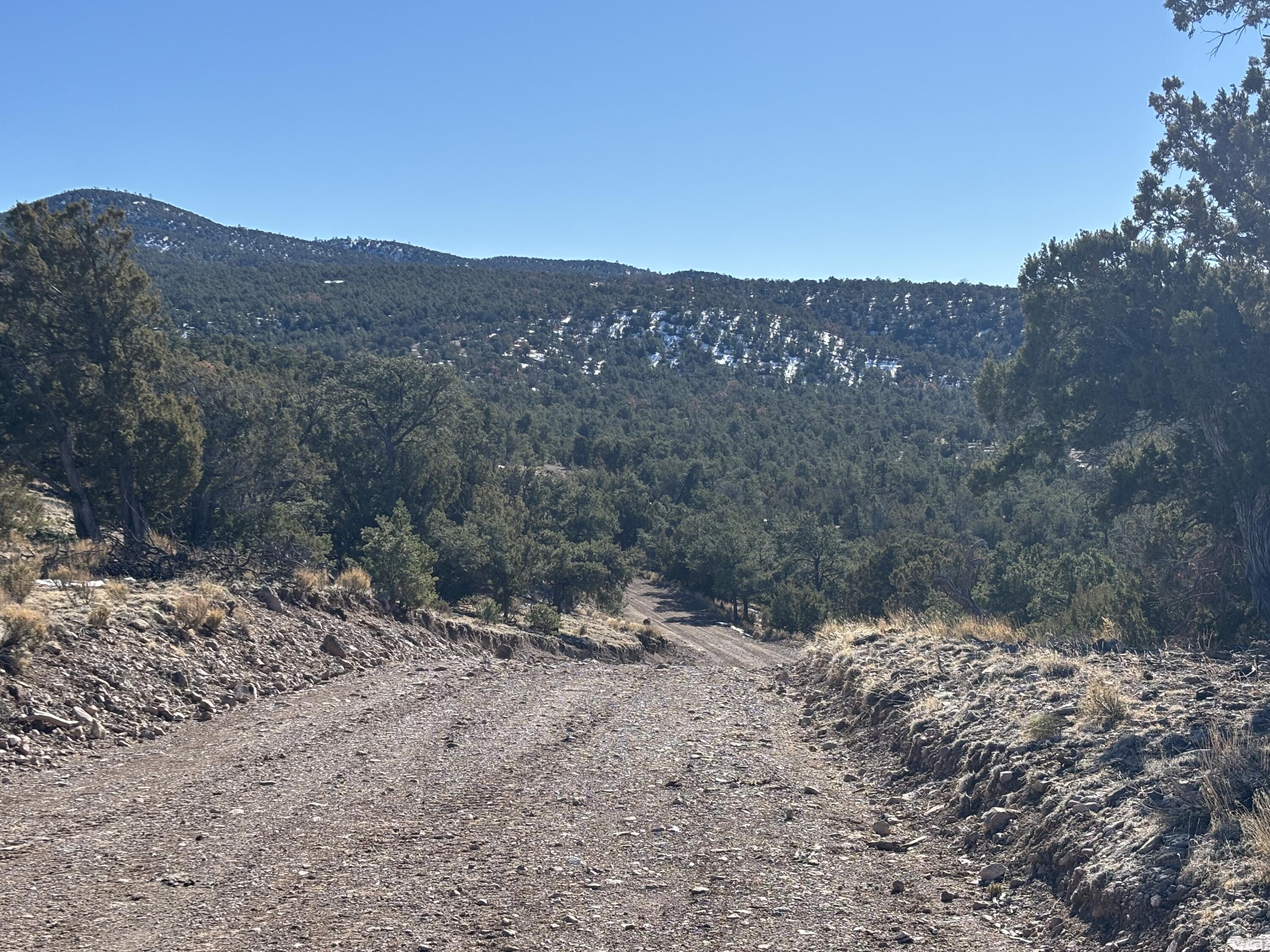 12 Kit Road Lot 2 Unit I Road