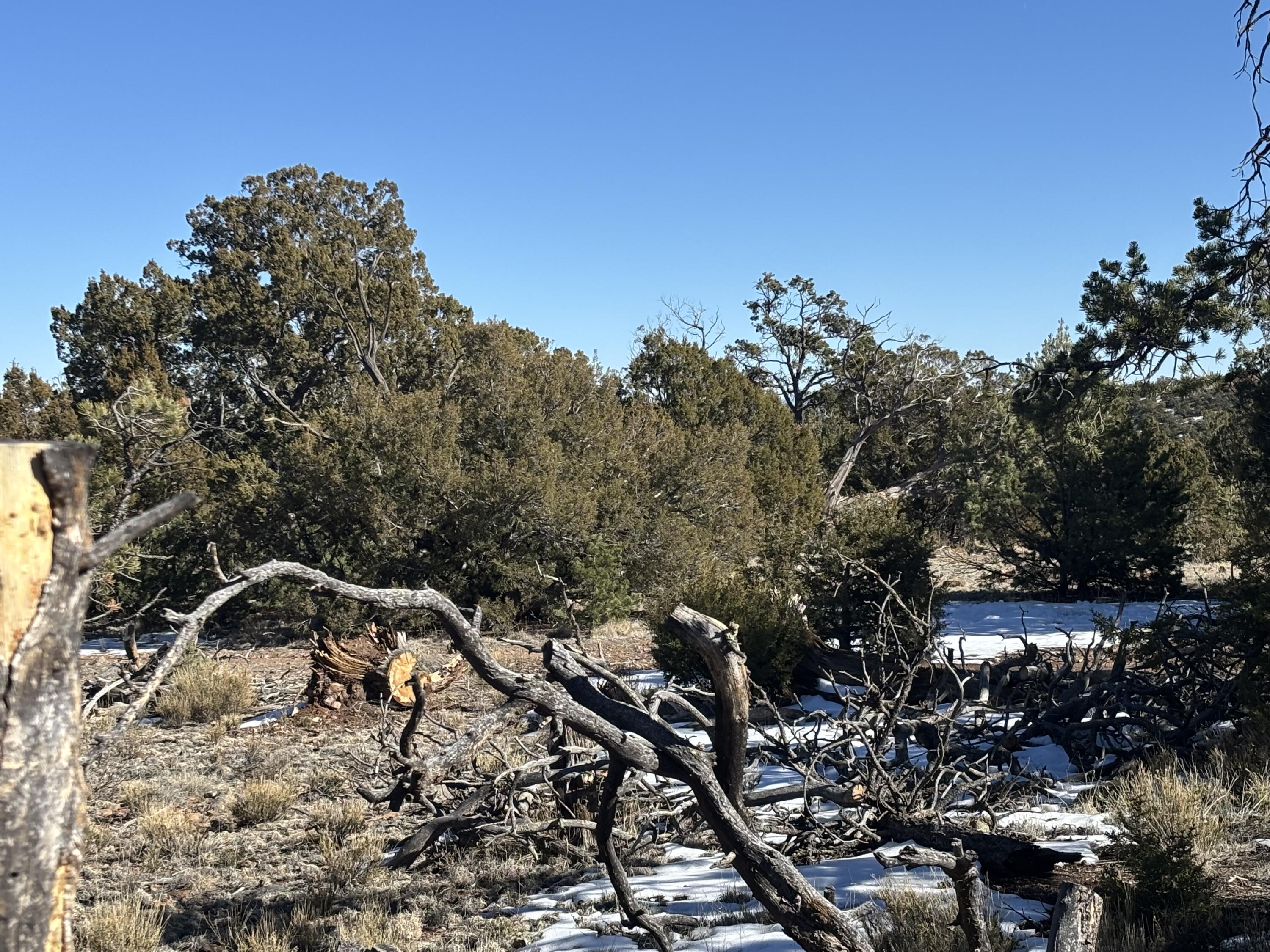 12 Kit Road Lot 2 Unit I Road