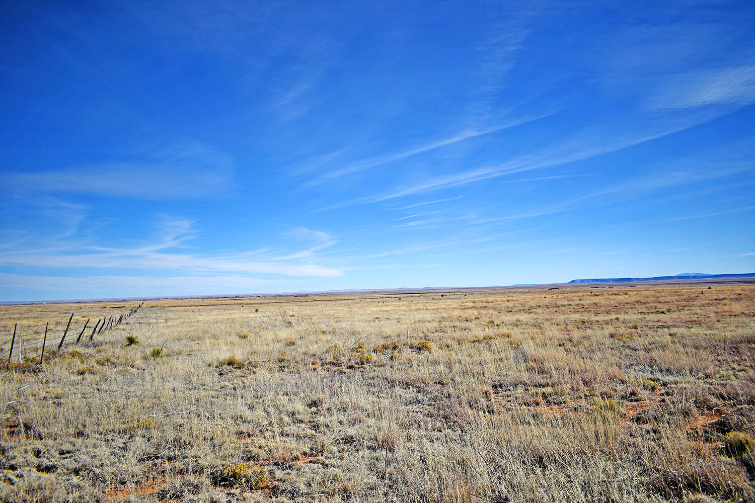 NM 542 Highway