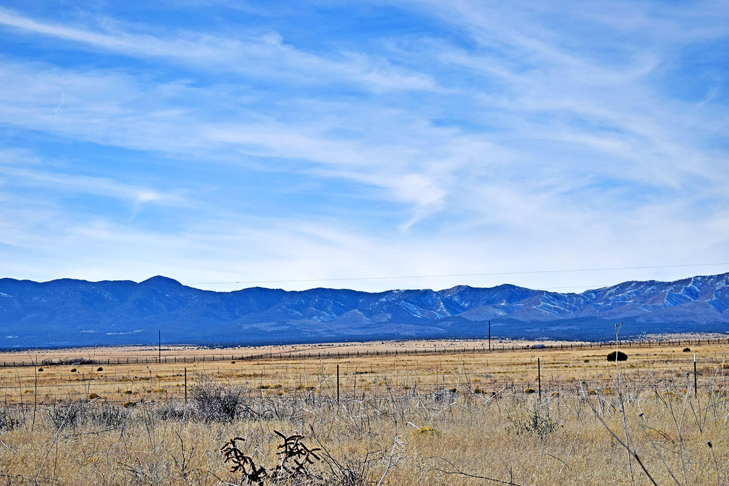 NM 542 Highway