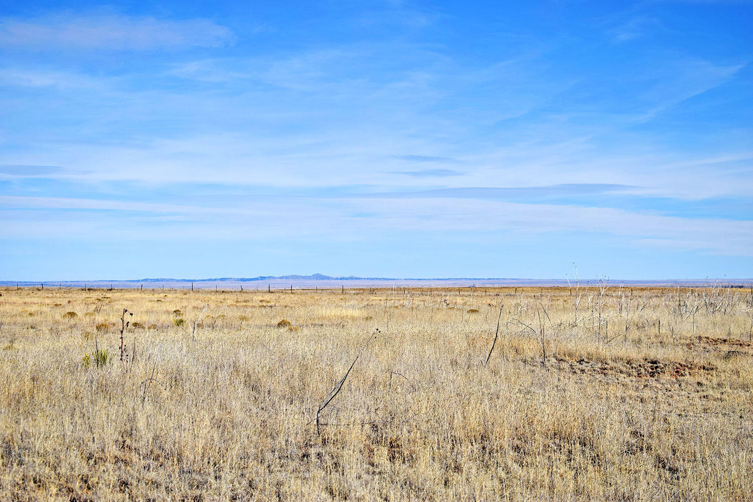 NM 542 Highway