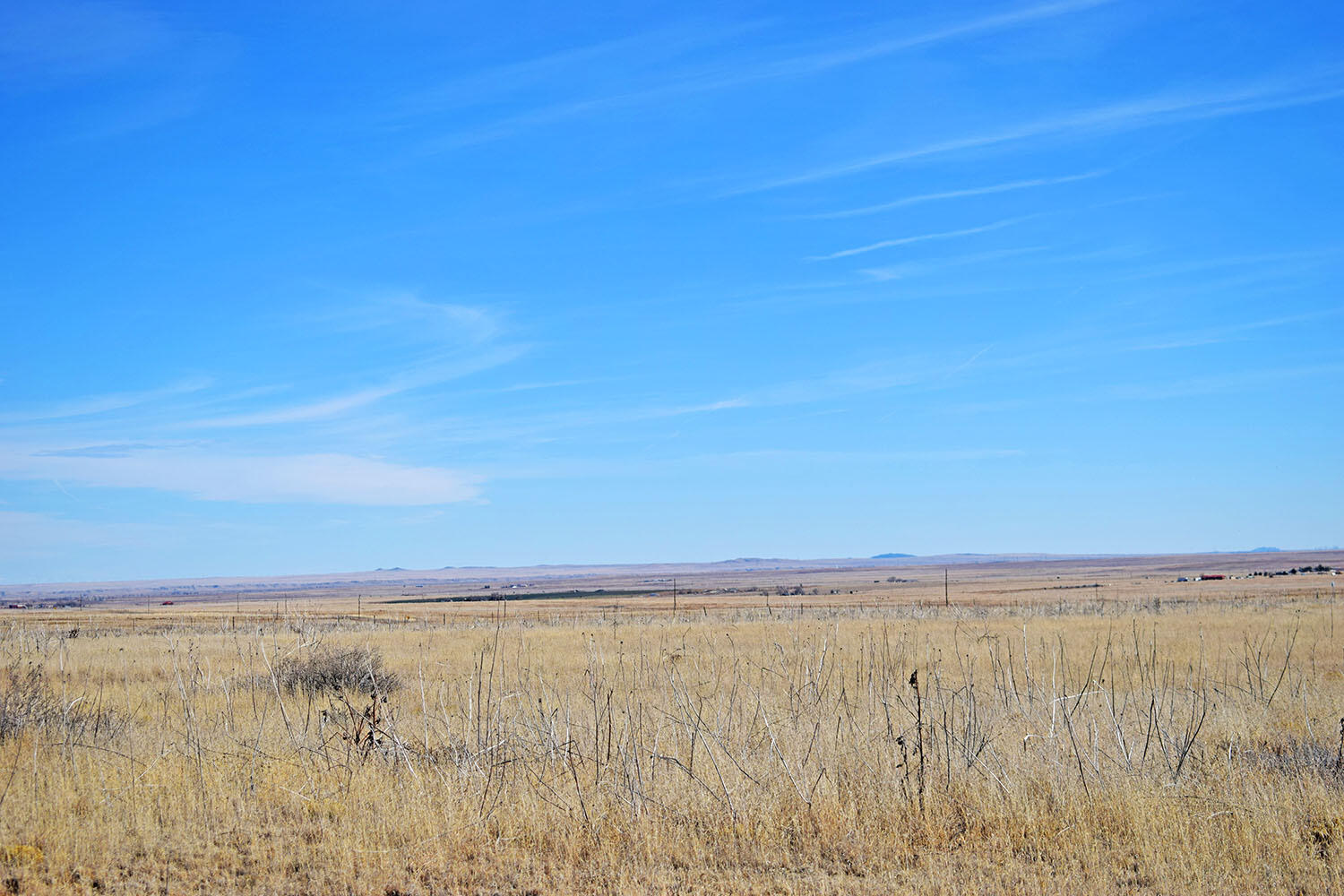 NM 542 Highway