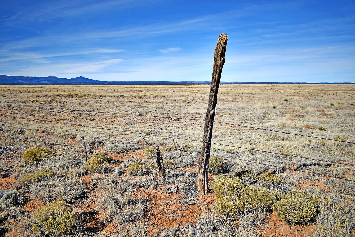 NM 542 Highway