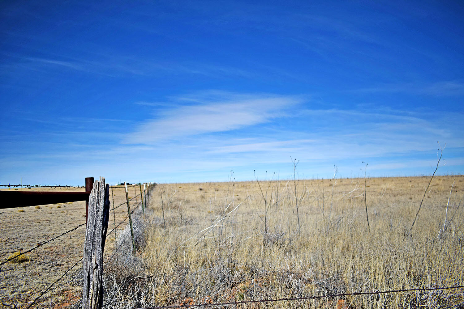 NM 542 Highway