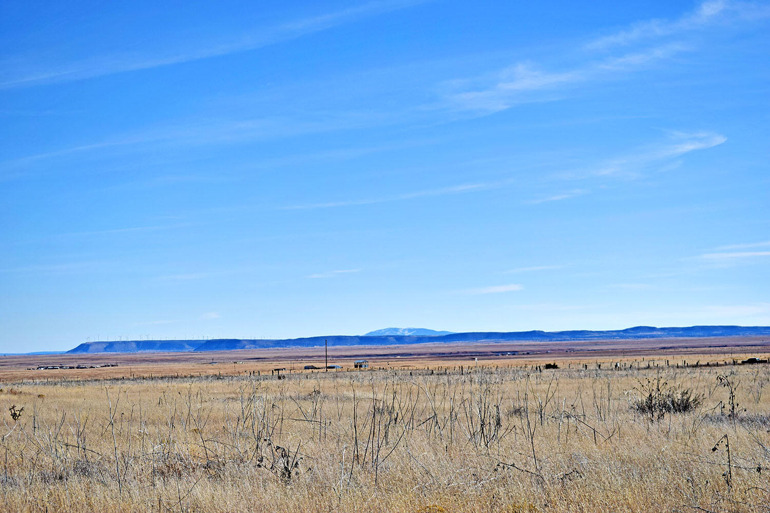 NM 542 Highway