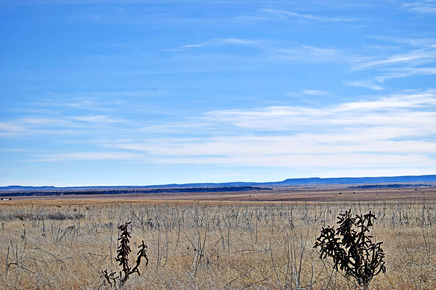 NM 542 Highway