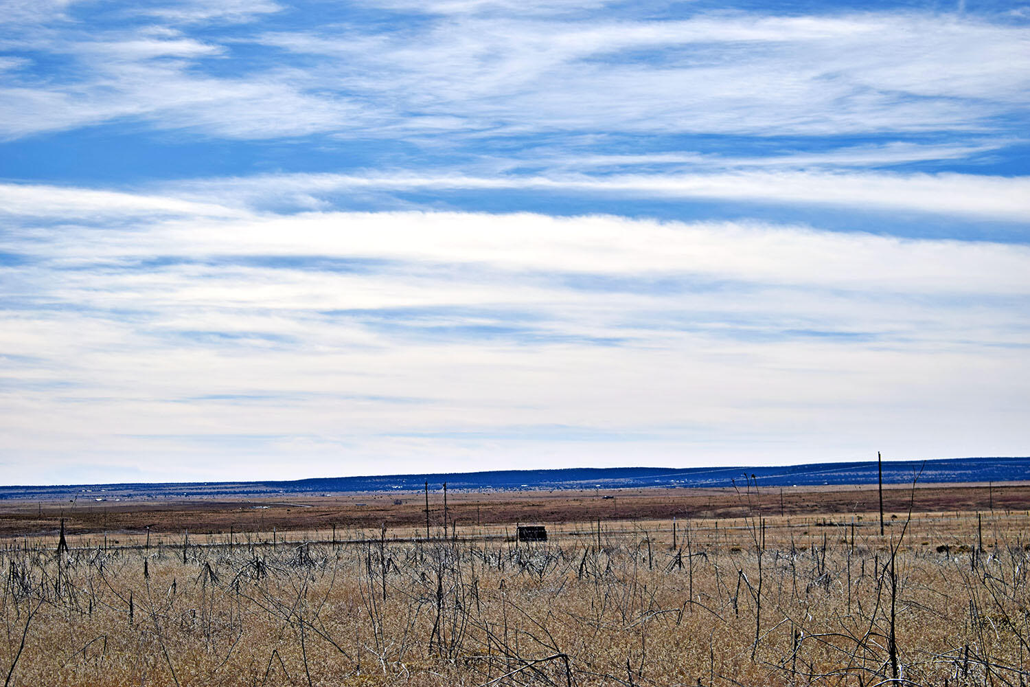NM 542 Highway