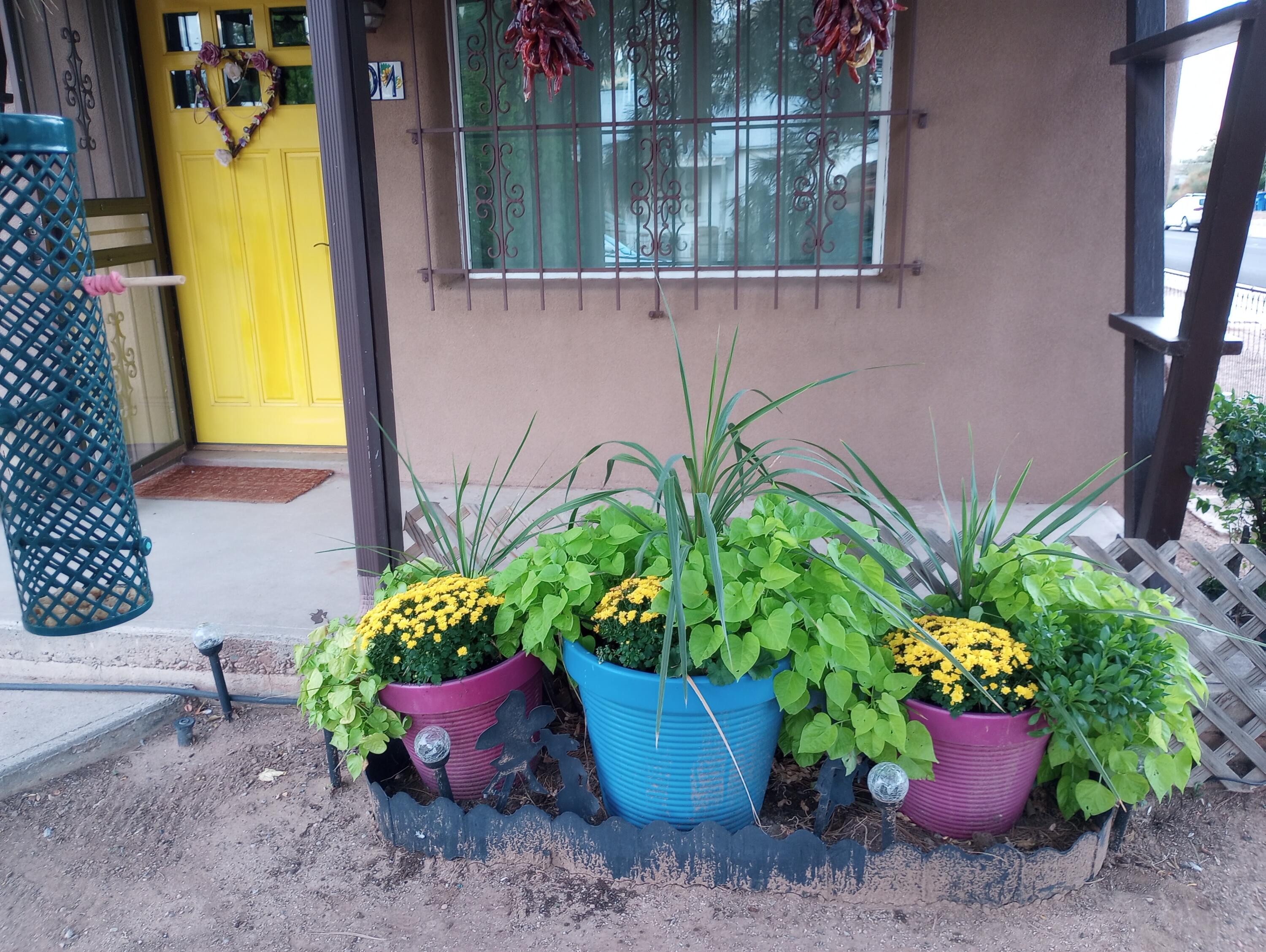 701 Alvarado Drive SE