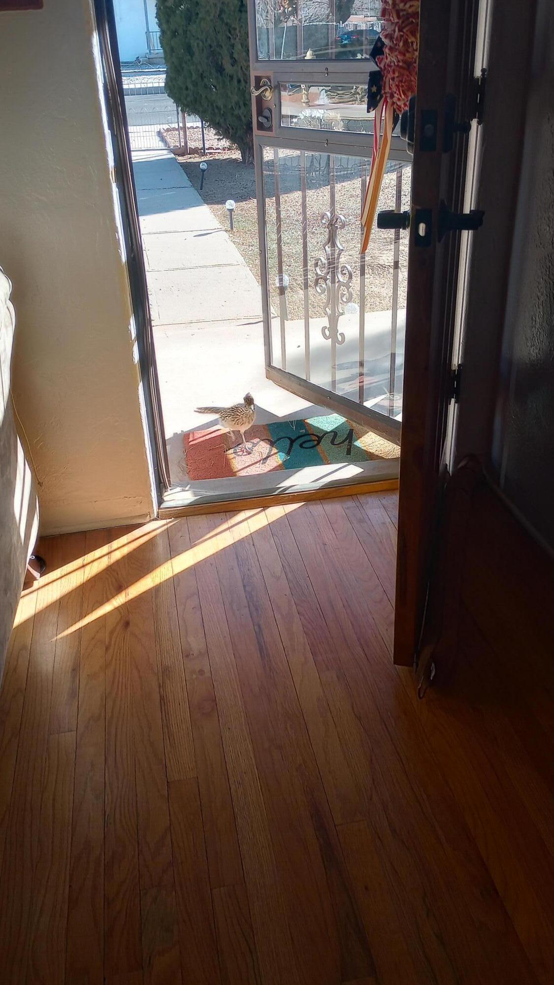 701 Alvarado Drive SE