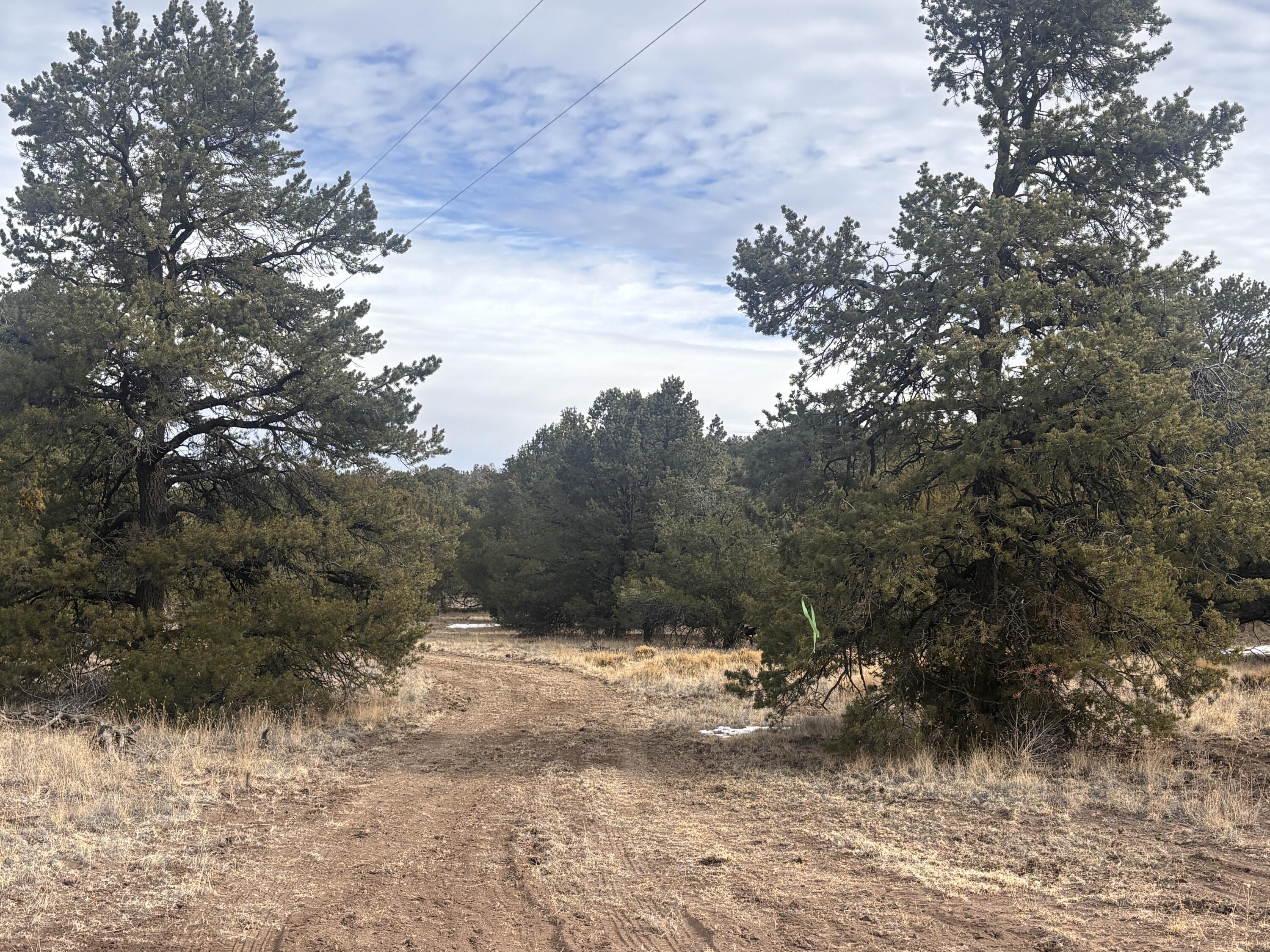 227 Tee Pee Trail
