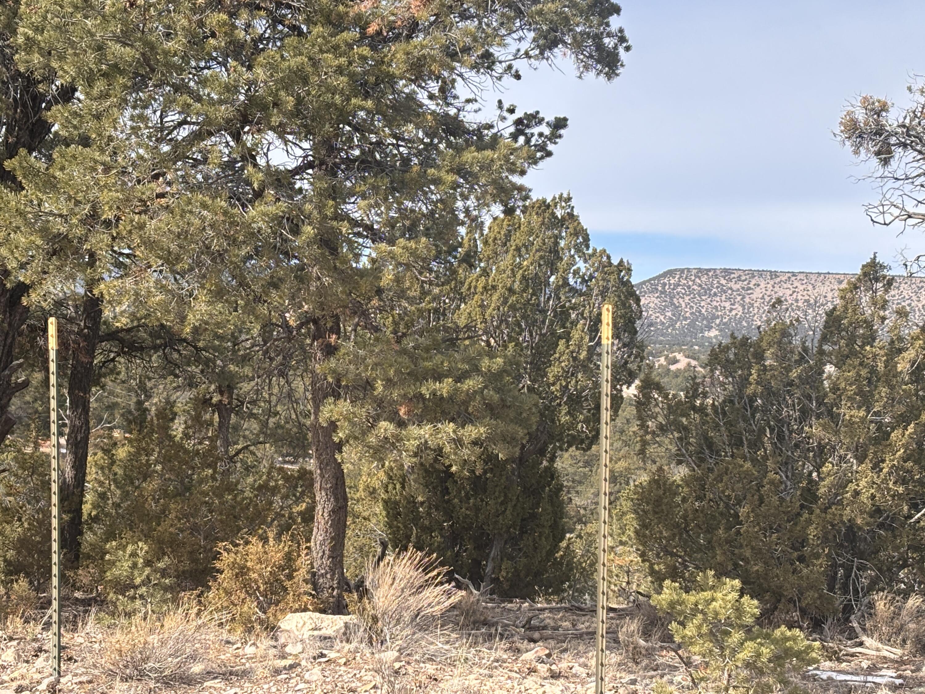 227 Tee Pee Trail