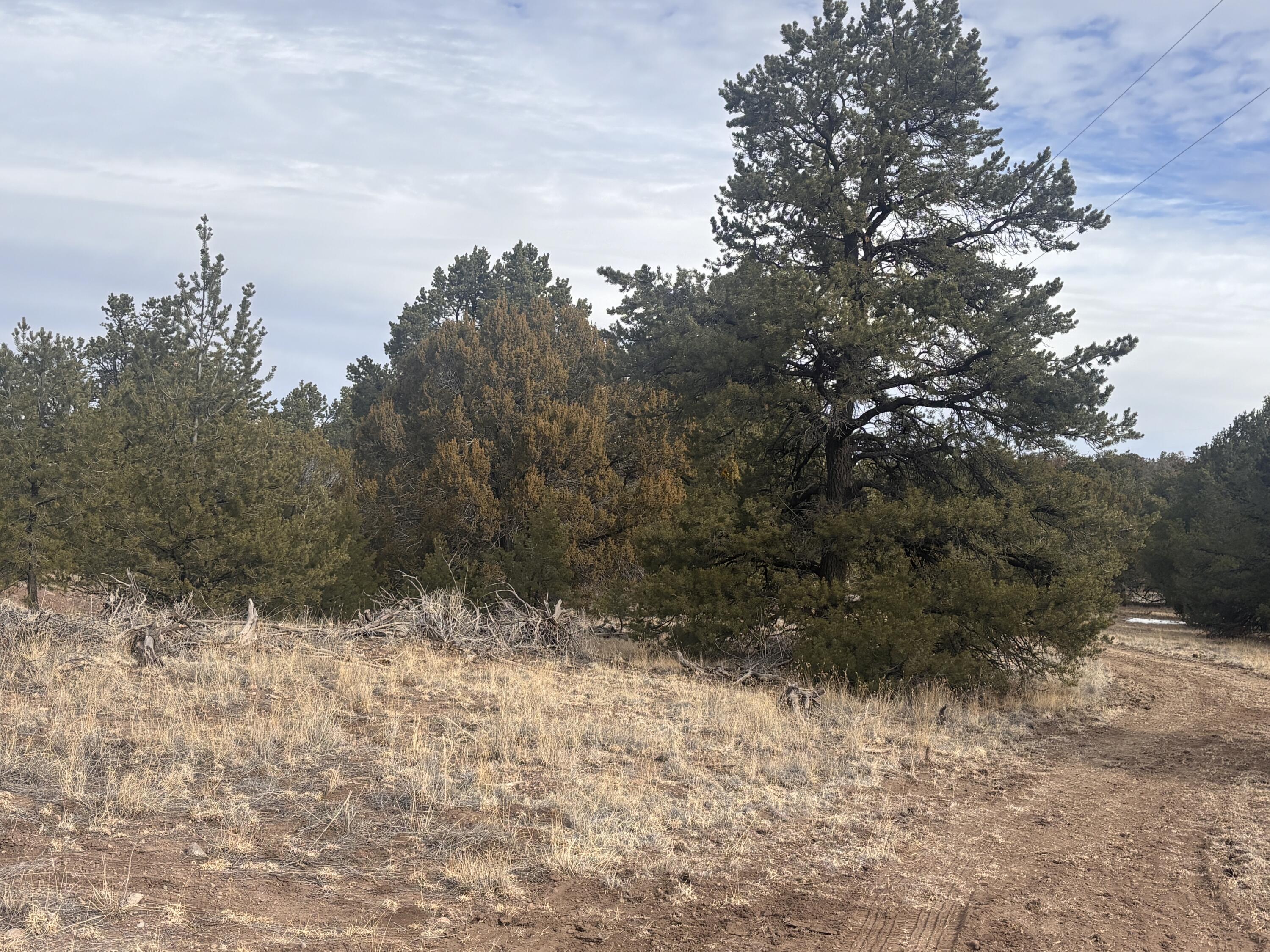 227 Tee Pee Trail