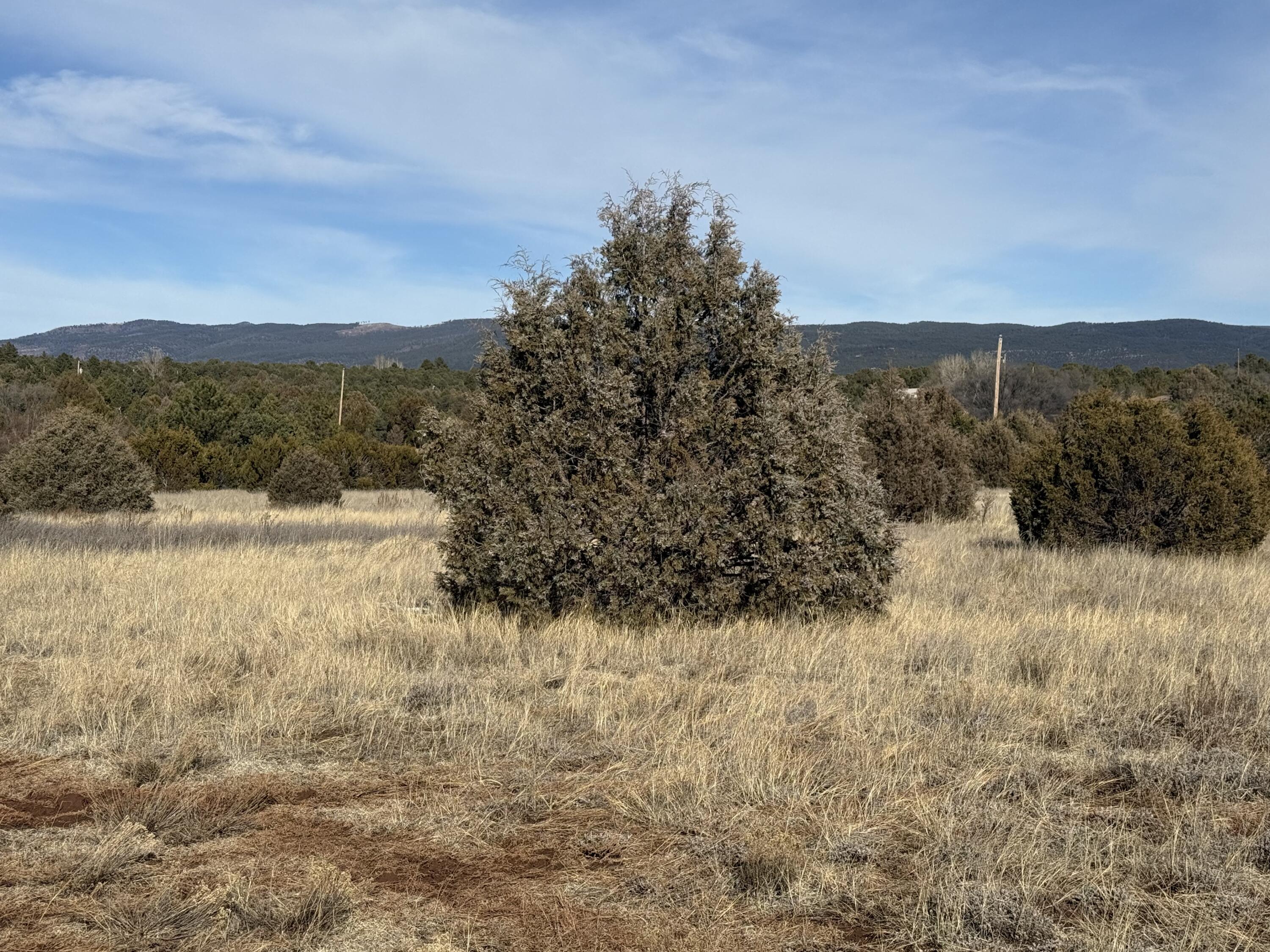 31 Lower La Joya Road