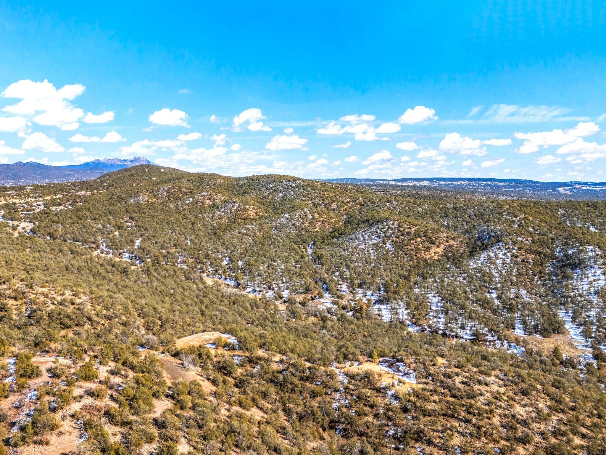 31 & 37 Bilotto Drive