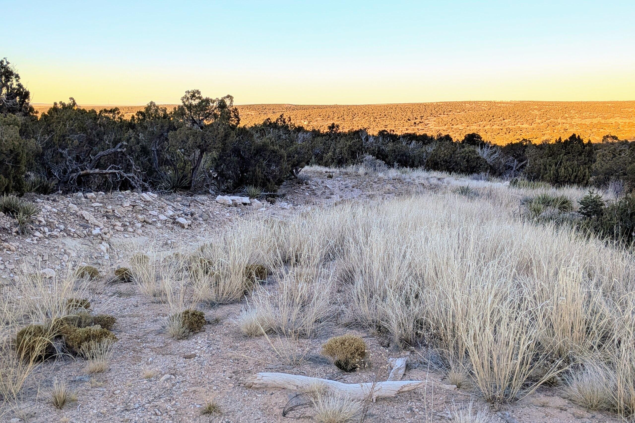 1151 Deer Canyon Trail