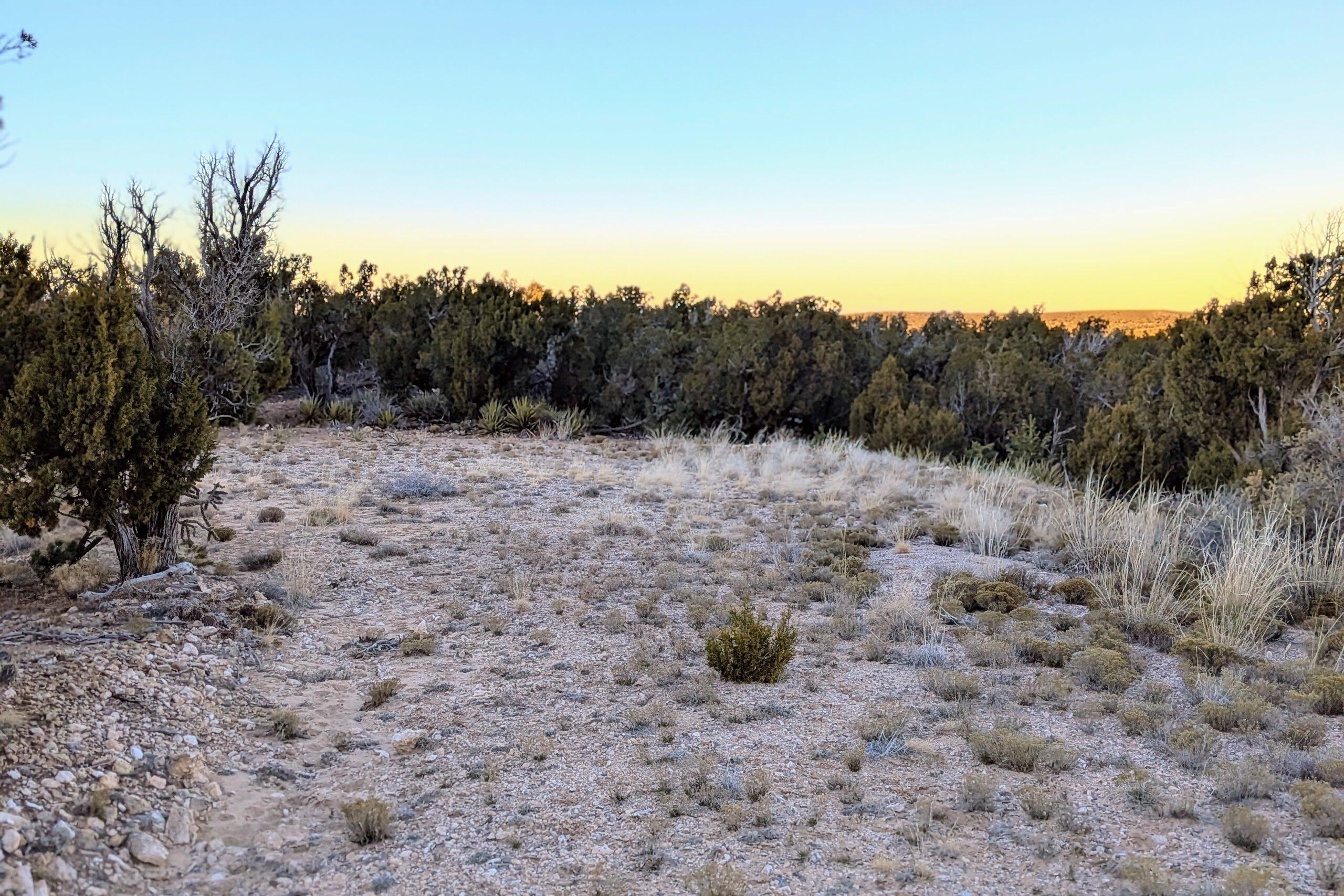 1151 Deer Canyon Trail