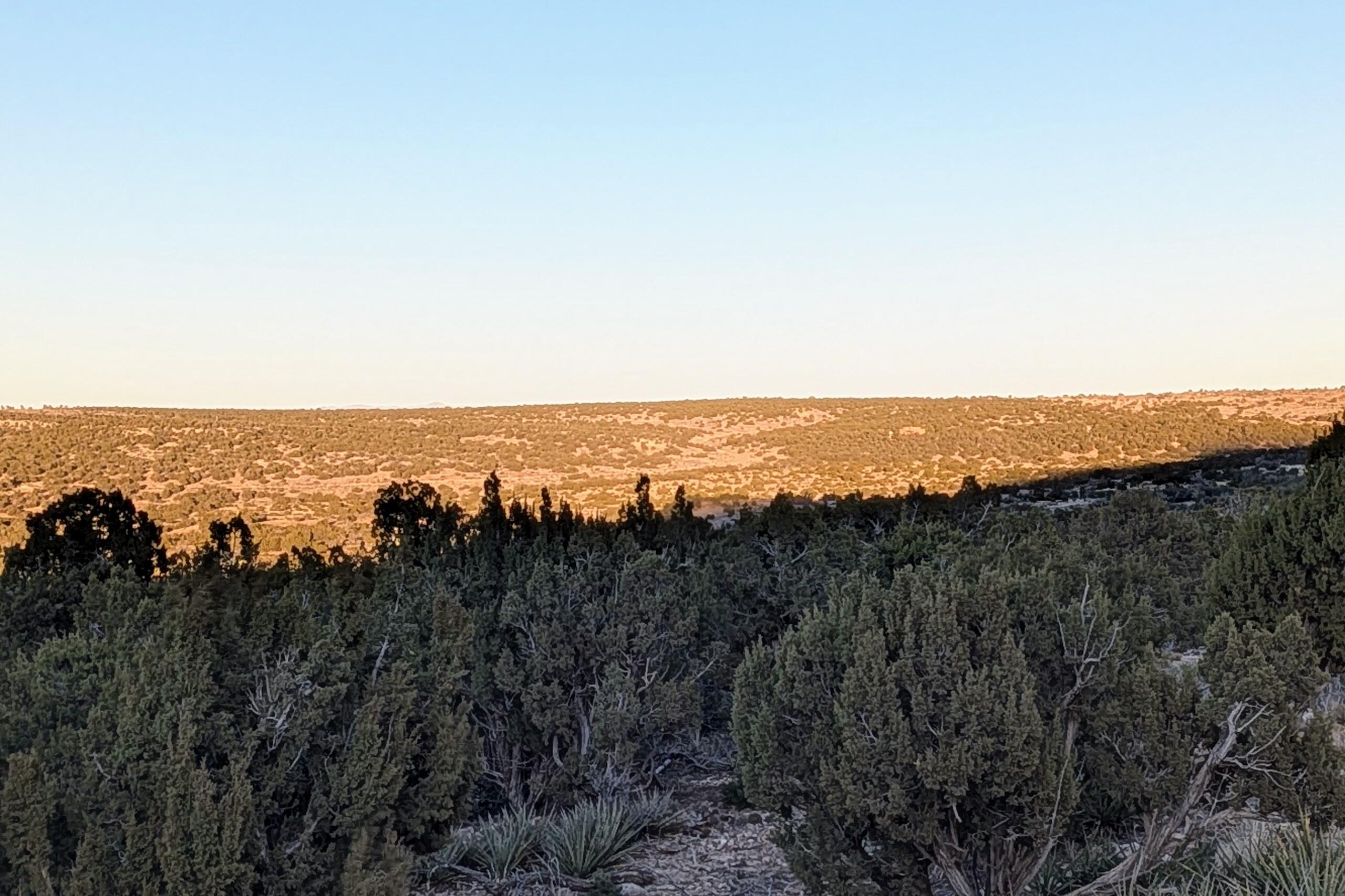 1151 Deer Canyon Trail